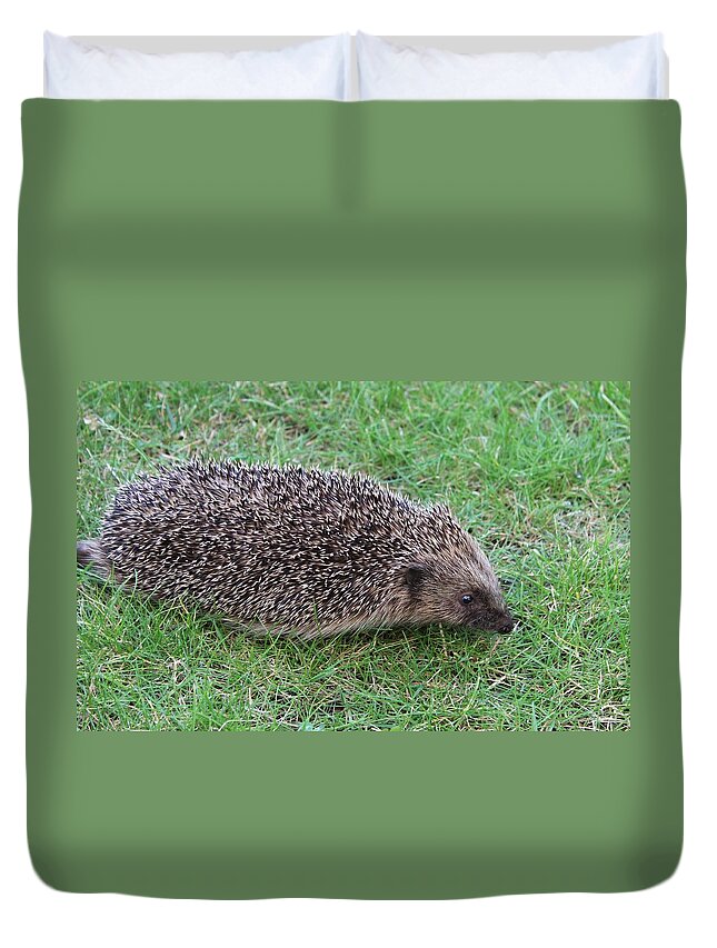 Hedgehog Duvet Cover featuring the photograph Evening Visitor by Sarah Qua