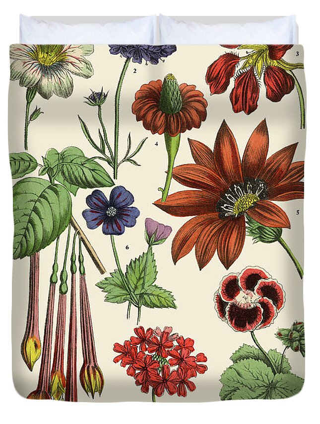 1880-1889 Duvet Cover featuring the digital art Exotic Flowers Of The Garden, Victorian by Bauhaus1000