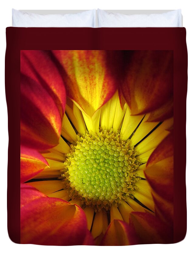 Stamens Duvet Cover featuring the photograph Eye Candy by Rosita Larsson