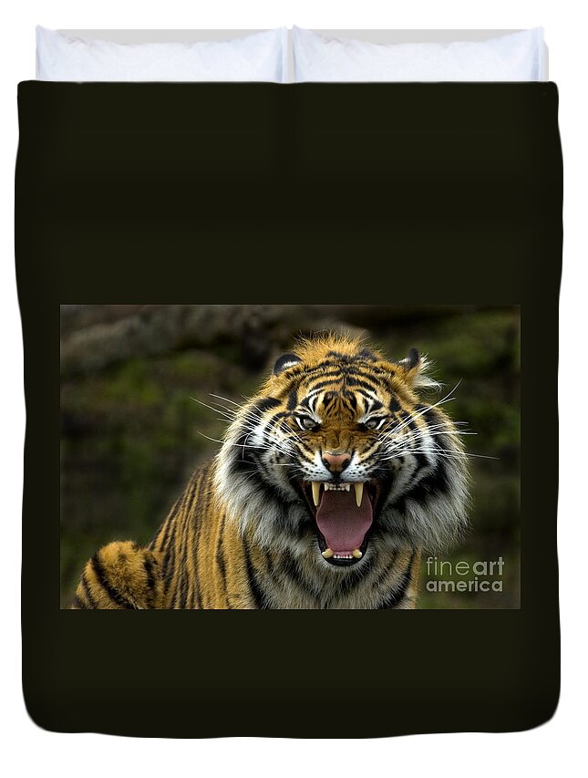 Tiger Duvet Cover featuring the photograph Eyes of the Tiger by Michael Dawson