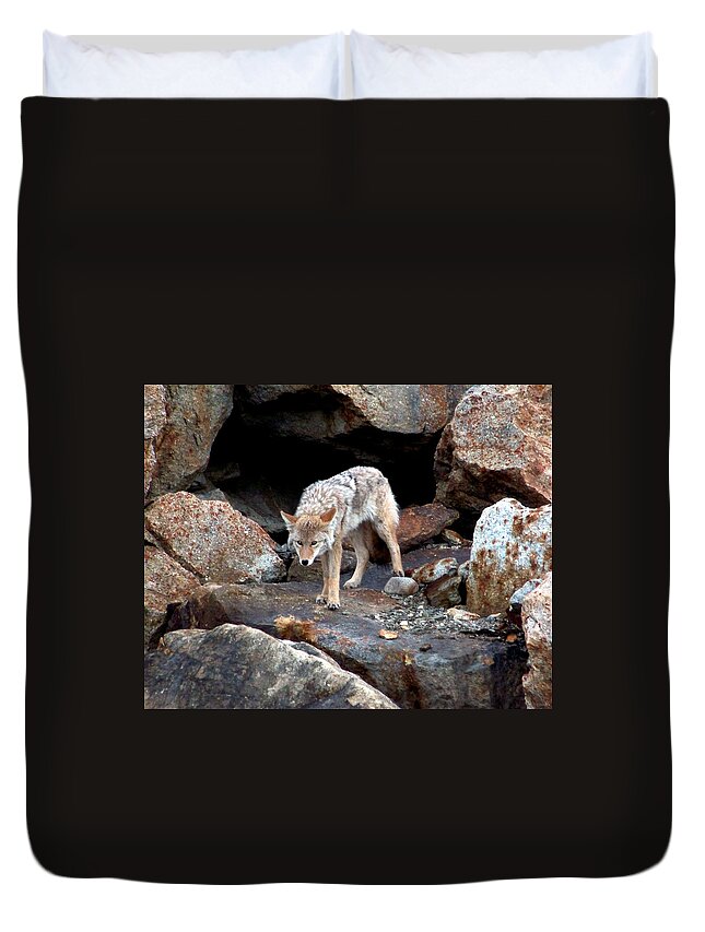 Coyote Duvet Cover featuring the photograph Eyes of Warning by Karen Wiles