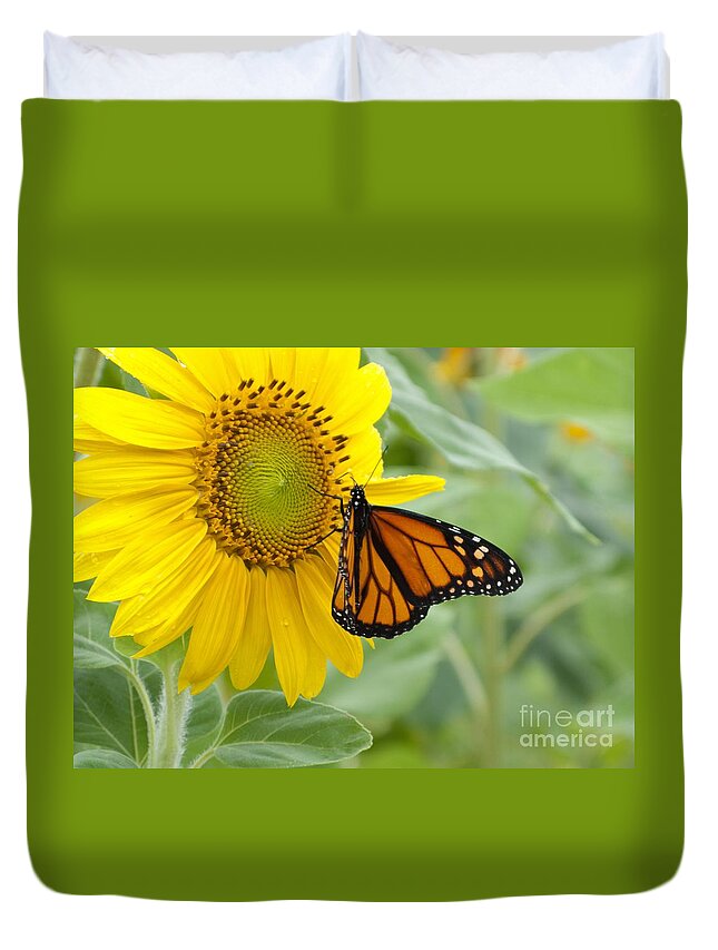 Sunflower Duvet Cover featuring the photograph Face to Face by Ann Horn