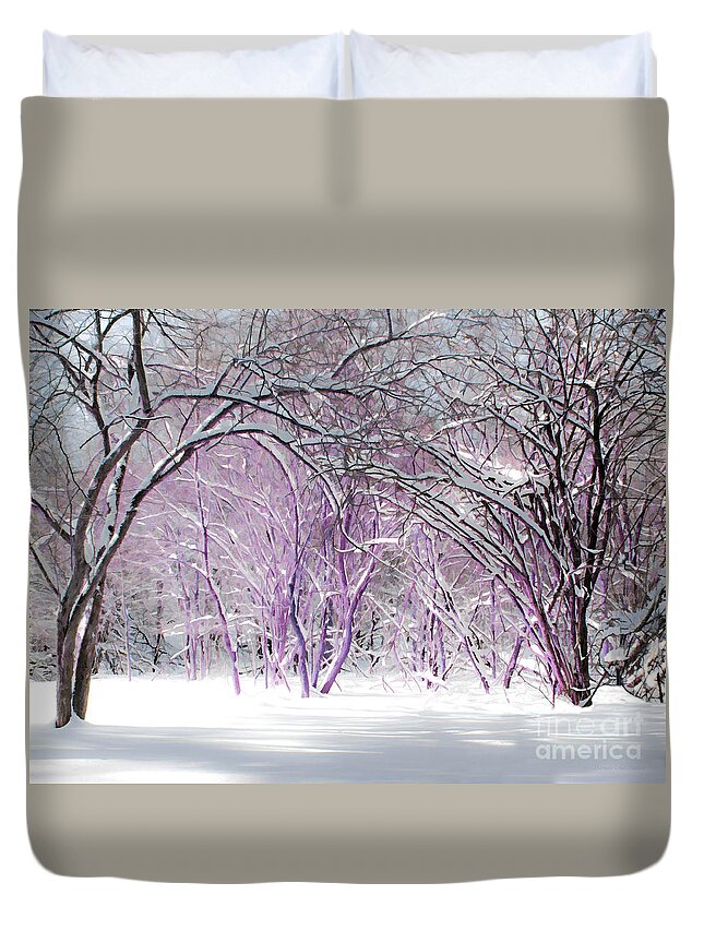 Winter Duvet Cover featuring the photograph Fairies Winter Wonderland by Barbara McMahon