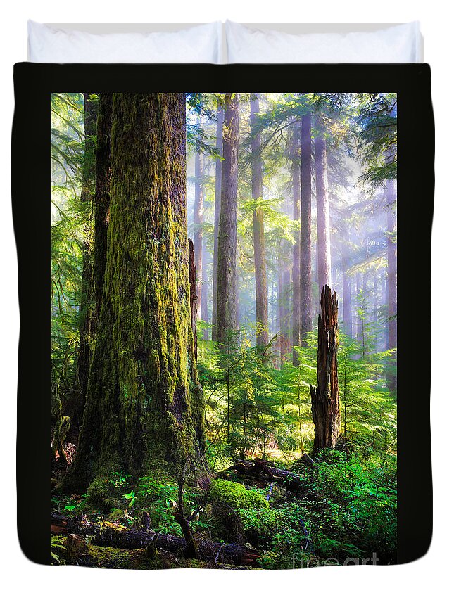 America Duvet Cover featuring the photograph Fairy Tale Forest by Inge Johnsson
