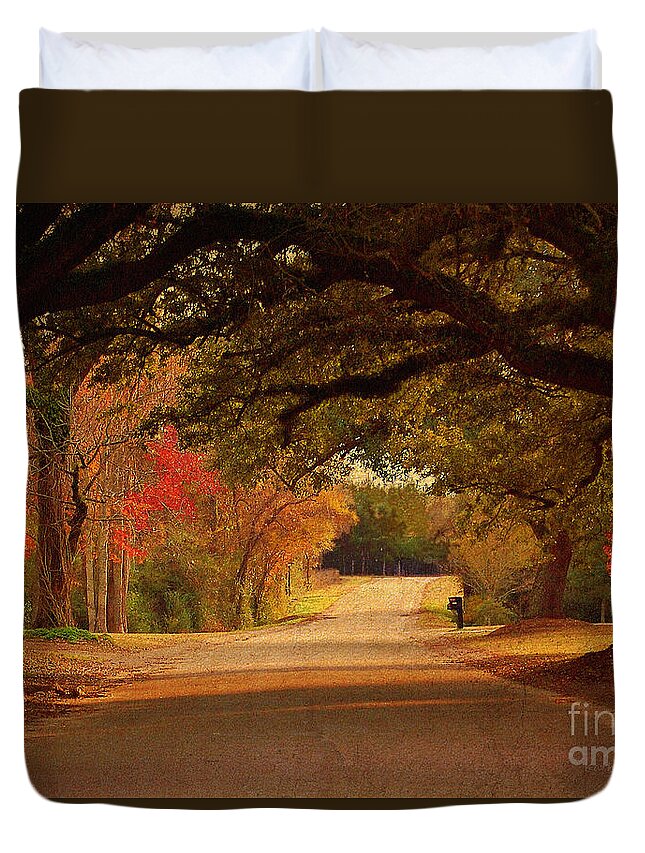 Fall Duvet Cover featuring the photograph Fall Along A Country Road by Kathy Baccari