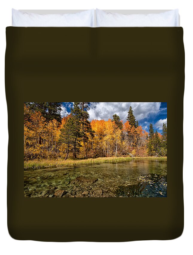 Fall Duvet Cover featuring the photograph Fall Along Bishop Creek by Cat Connor