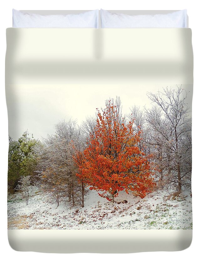Fall Duvet Cover featuring the photograph Fall and Winter by Robert ONeil