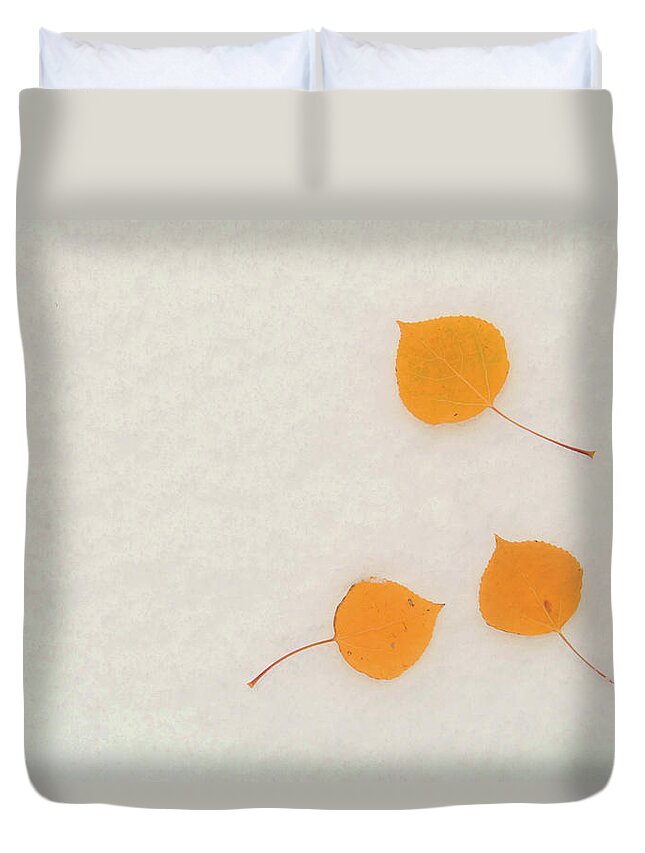 Aspen Duvet Cover featuring the photograph Fall Aspen Leaves On First Snow by David Epperson