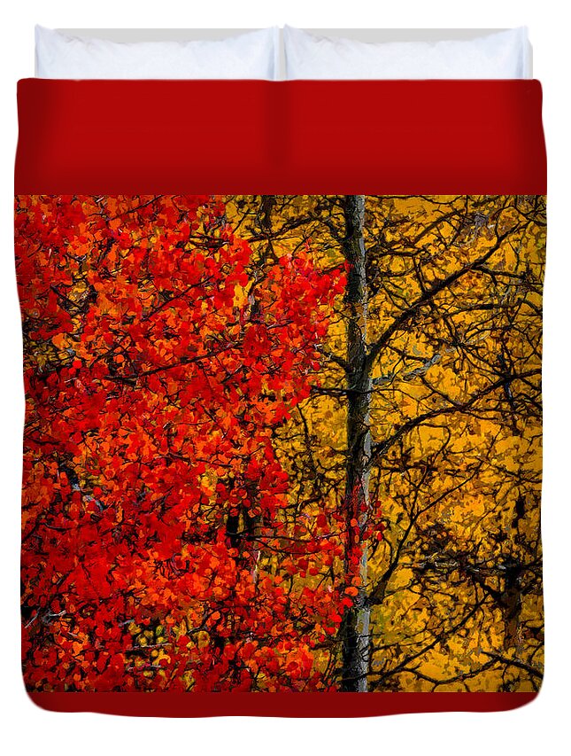 Autumn Duvet Cover featuring the digital art Fall Colors DP by Ernest Echols