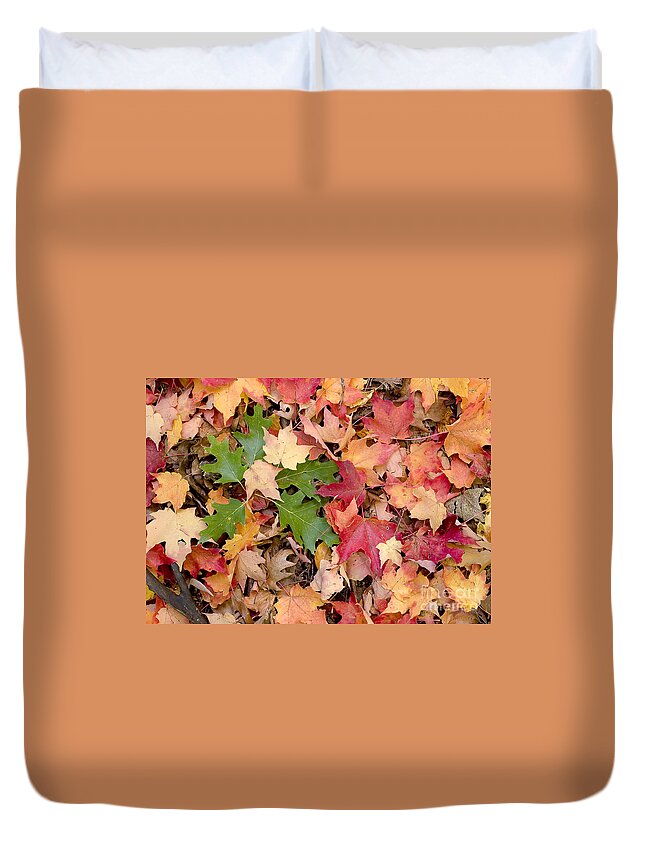 Arboretum Duvet Cover featuring the photograph Fall colors by Steven Ralser