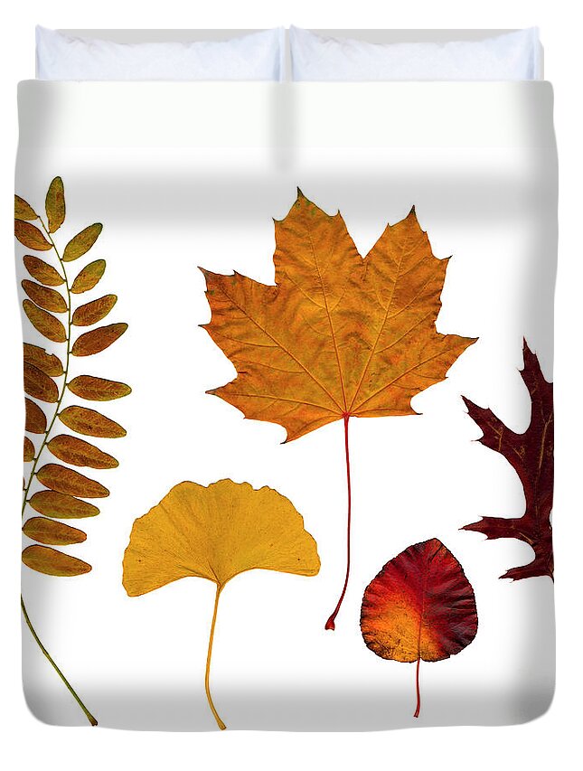 Leaf Duvet Cover featuring the photograph Fall leaves by Tony Cordoza