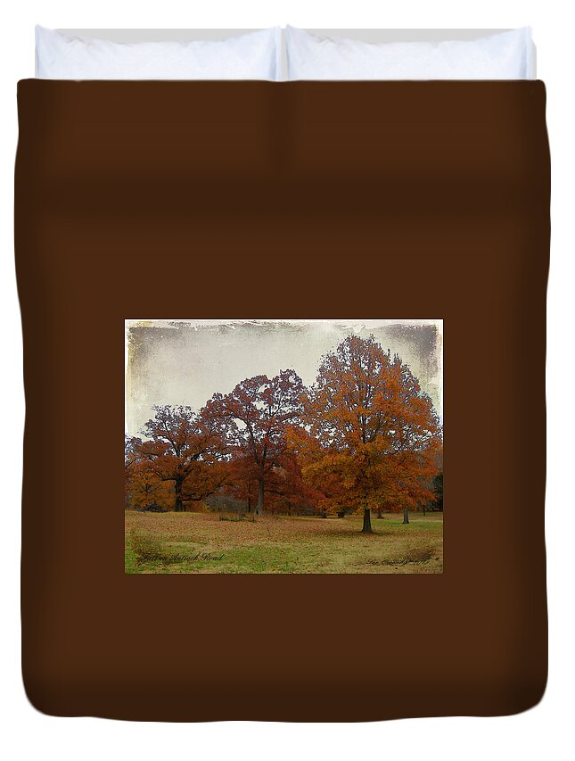 Fall Duvet Cover featuring the photograph Fall On Antioch Road by Lee Owenby