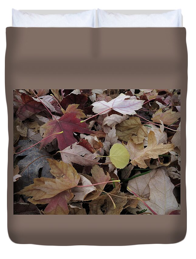 Autumn Duvet Cover featuring the photograph Fallen Beauty by Jessica Myscofski