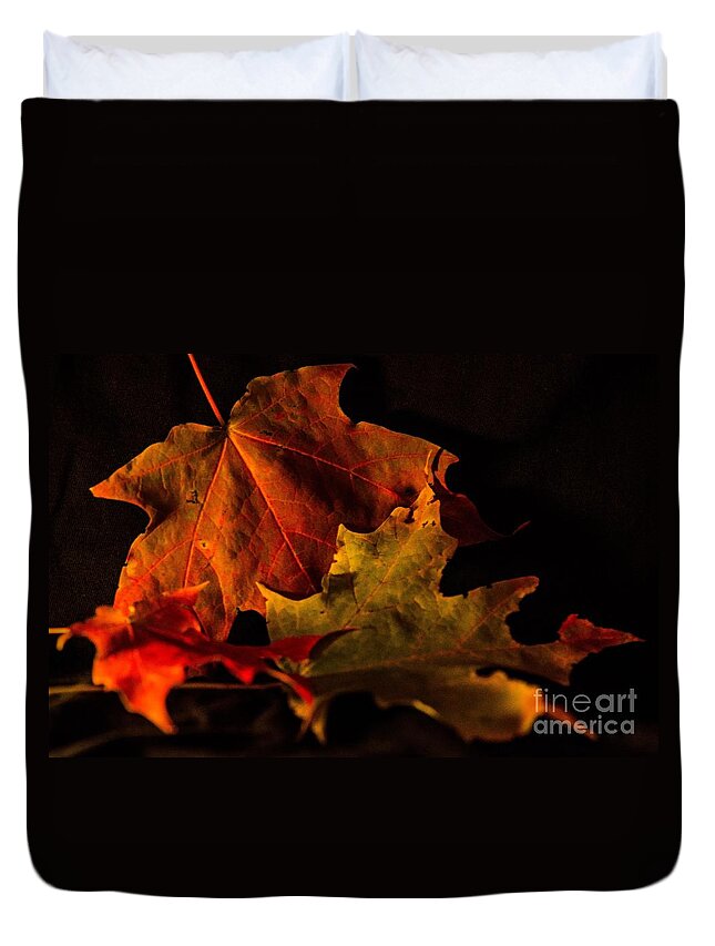 Leaves Duvet Cover featuring the photograph Fallen Leaves by Judy Wolinsky
