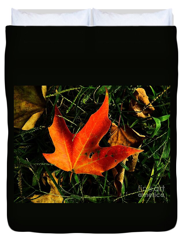 Autumn Duvet Cover featuring the photograph Fallen Leaves by Robyn King