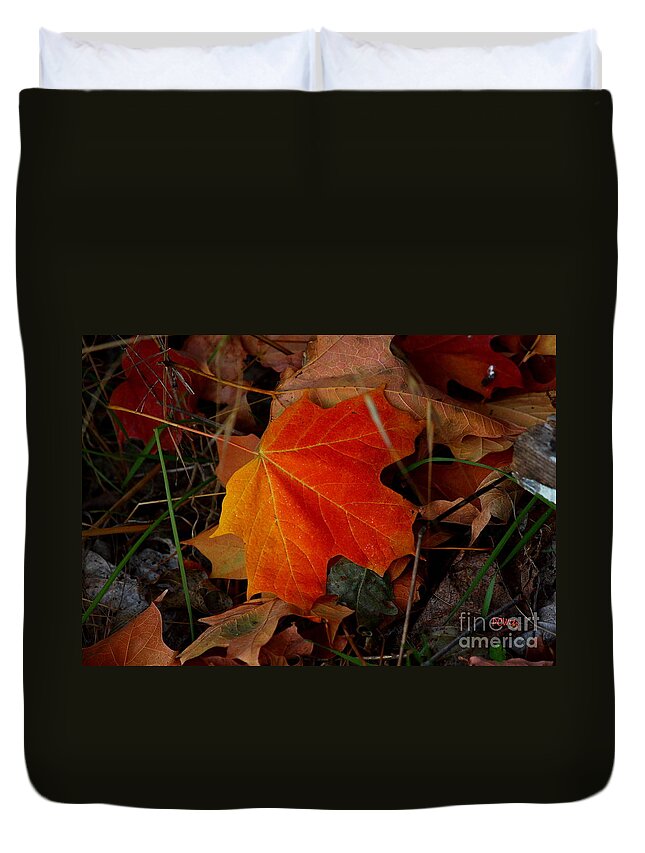 Pipping Duvet Cover featuring the photograph Fallen by Patrick Witz
