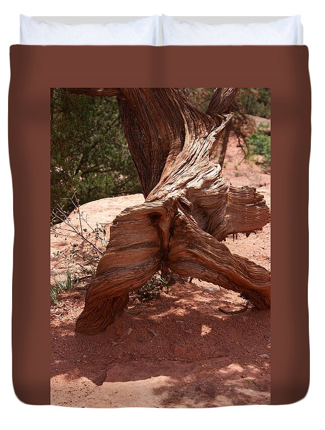 Colorado Duvet Cover featuring the photograph Fallen Trees 4 by Dimitry Papkov