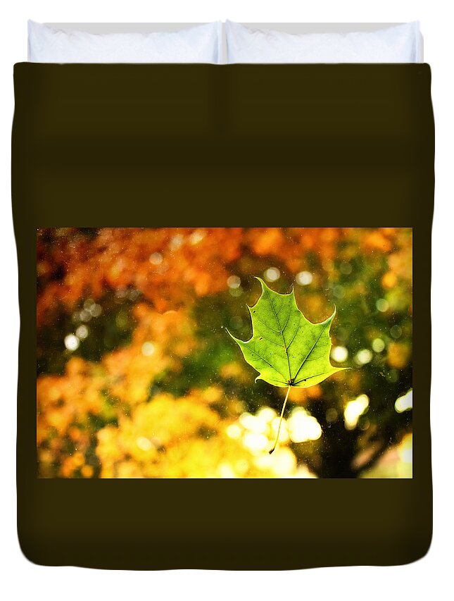 Fall Duvet Cover featuring the photograph Falling Leaf by Lars Lentz