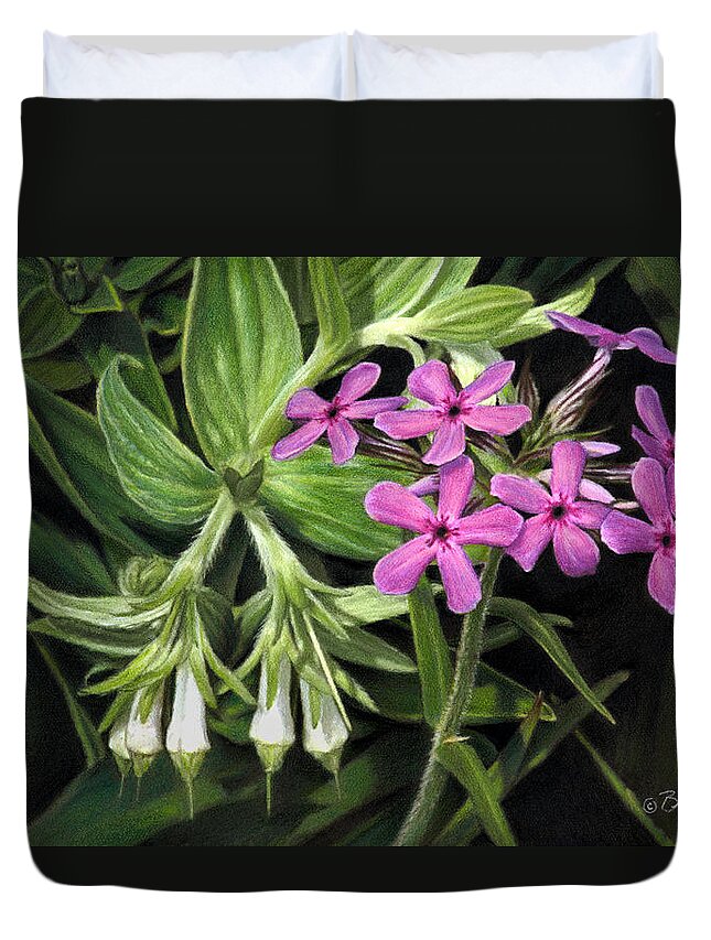 Wildflowers Duvet Cover featuring the drawing False Gromwell with Prairie Phlox by Bruce Morrison