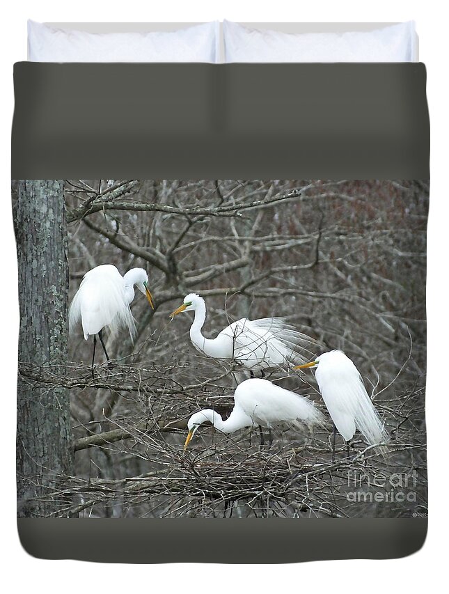 Egrets Duvet Cover featuring the photograph Family Affair Egrets Louisiana by Lizi Beard-Ward
