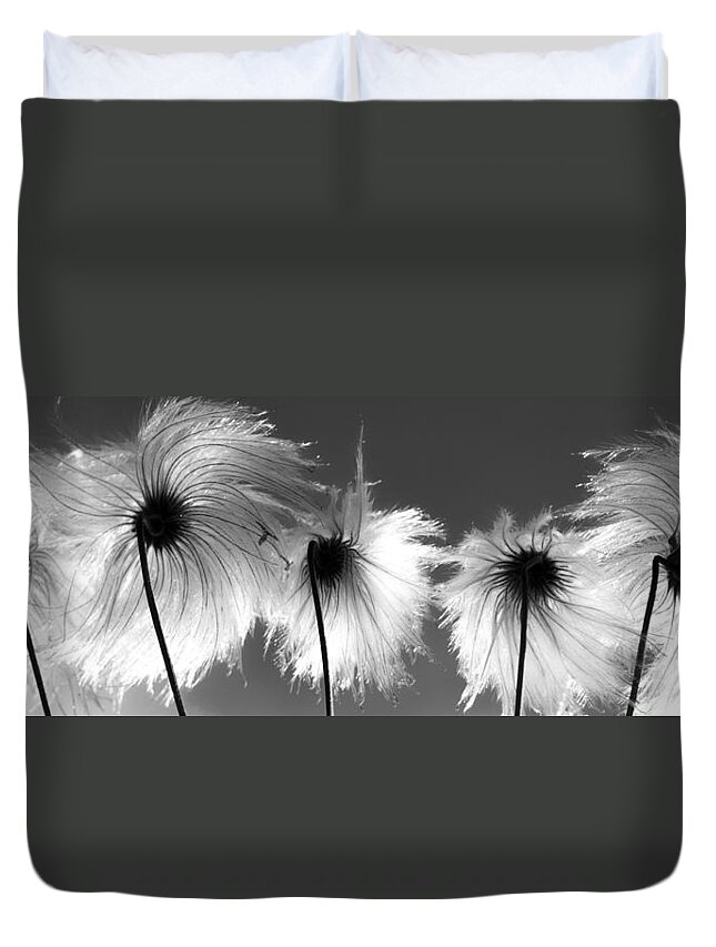 Flowers Duvet Cover featuring the photograph Family Seeds by J C