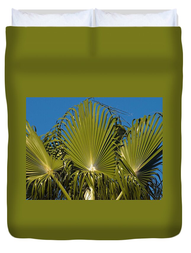 California Duvet Cover featuring the photograph Fan Palm by Steve Ondrus