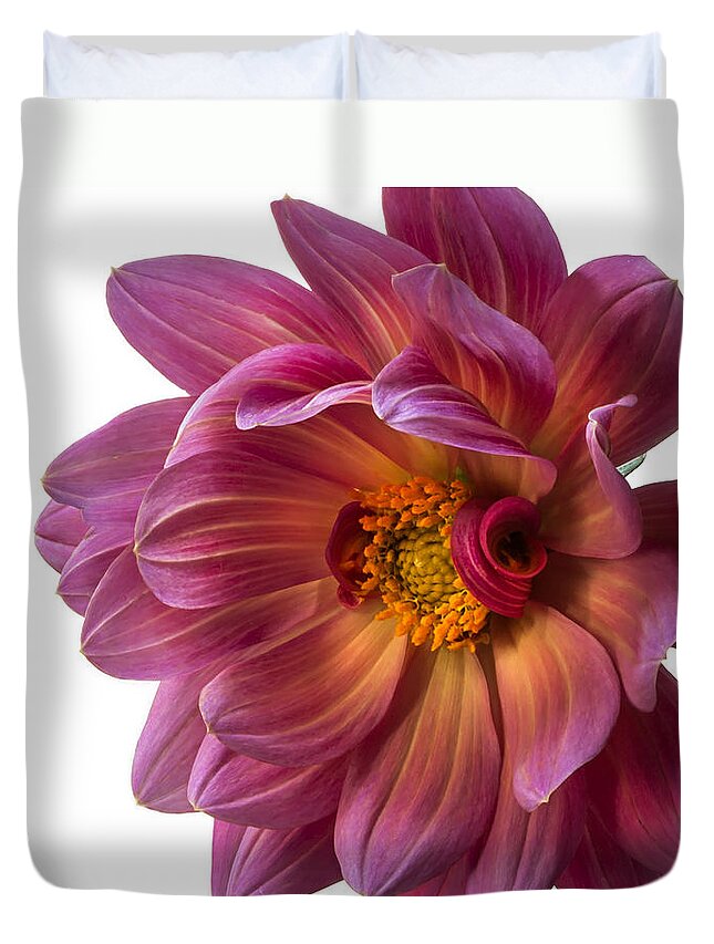 Flower Duvet Cover featuring the photograph Fancy Dahlia Closeup by Endre Balogh