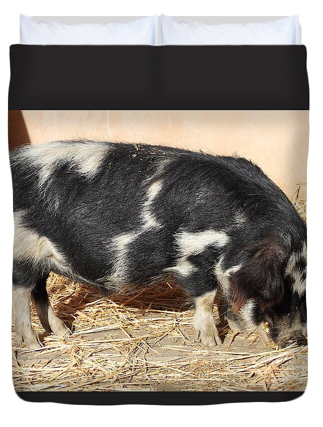 Animal Duvet Cover featuring the photograph Farm Pig 7D27356 by Wingsdomain Art and Photography
