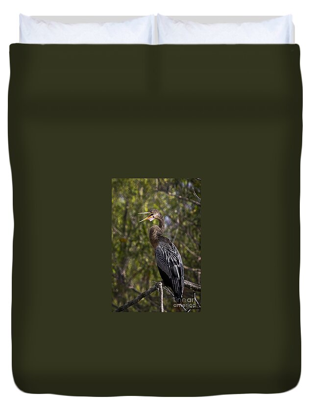Anhinga Duvet Cover featuring the photograph Female Anhinga by Ronald Lutz