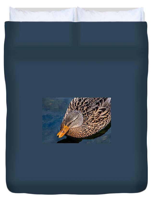 Duck Duvet Cover featuring the photograph Female Duck by Andreas Berthold