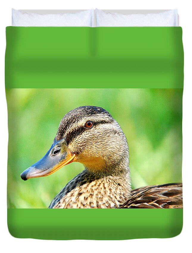 Female Mallard Duck Duvet Cover featuring the photograph Female Mallard Duck by Crystal Wightman