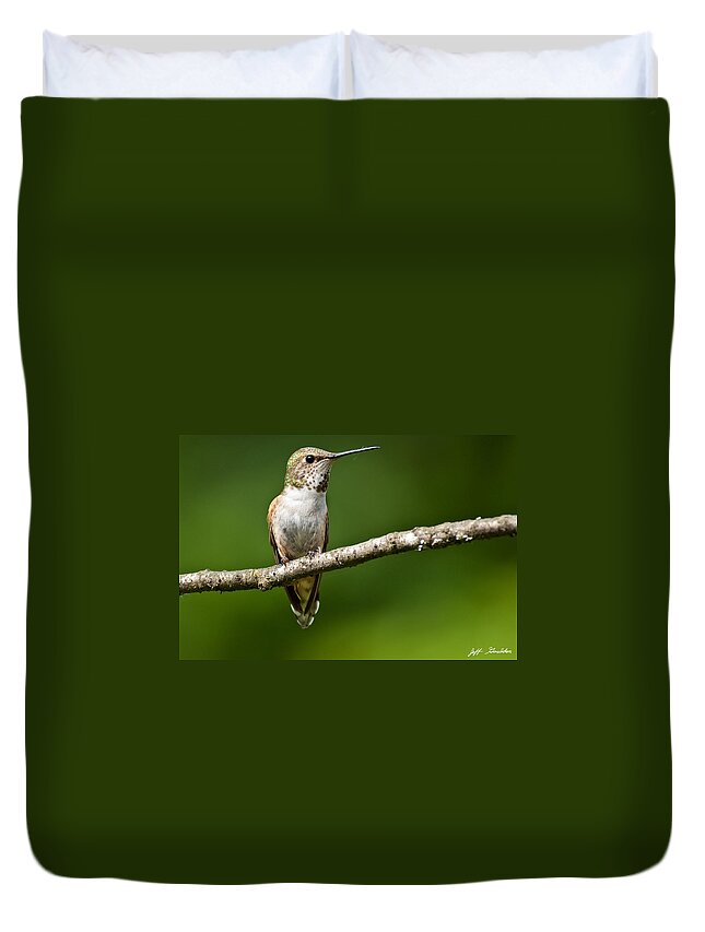 Adult Duvet Cover featuring the photograph Female Rufous Hummingbird in a Tree by Jeff Goulden