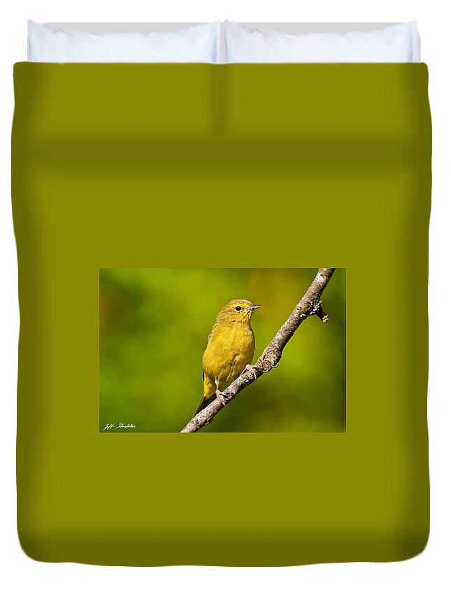 Animal Duvet Cover featuring the photograph Female Yellow Warbler by Jeff Goulden