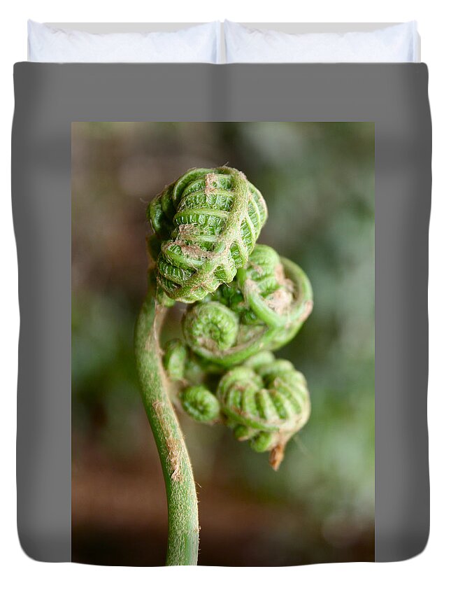 Fern Bud Duvet Cover featuring the photograph Fern Bud by Venetia Featherstone-Witty
