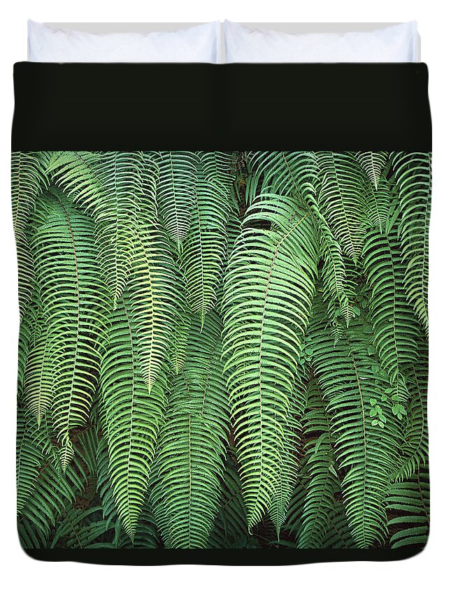 Feb0514 Duvet Cover featuring the photograph Ferns Hanging Over Trail Nepal by Colin Monteath