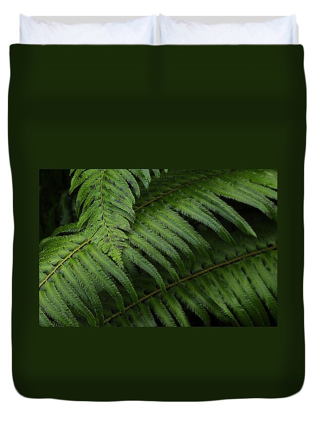 Cool Duvet Cover featuring the photograph Ferns In Cascades National Park, Wa by Theodore Clutter