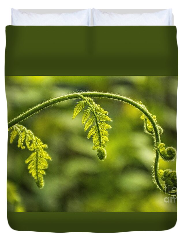 Leaf Duvet Cover featuring the photograph Fiddleheads by Peggy Hughes