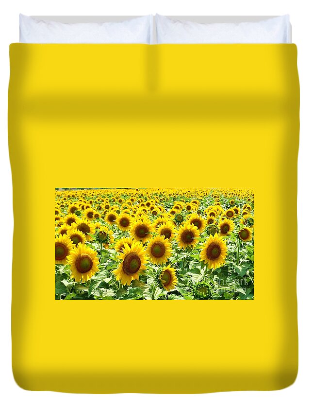 Sunflower Duvet Cover featuring the photograph Field of Glory by Robert ONeil