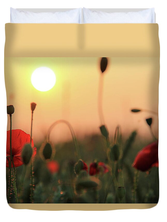 Belgium Duvet Cover featuring the photograph Field Of Poppies by Peter Daems