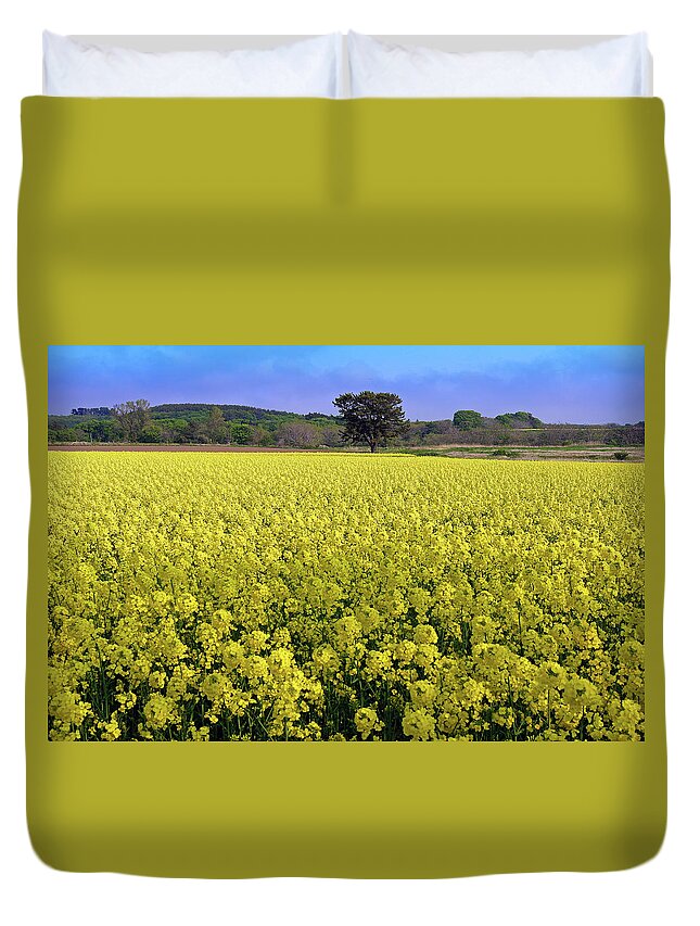 Broccoli Duvet Cover featuring the photograph Field Of Tender Stem Broccoli by The Landscape Of Regional Cities In Japan.