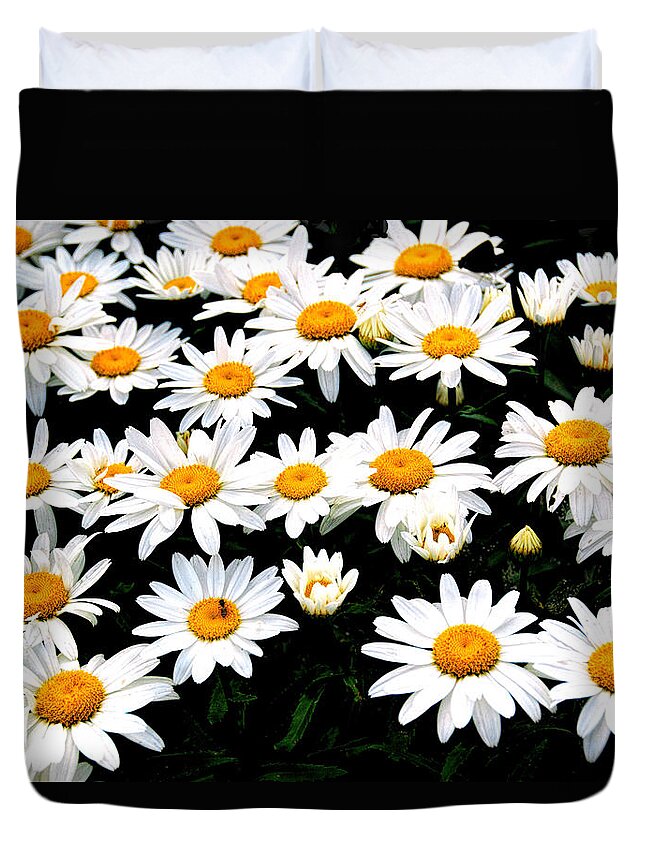 Patch Of Daisies Duvet Cover featuring the photograph Fields Of Daisies by Pat Cook