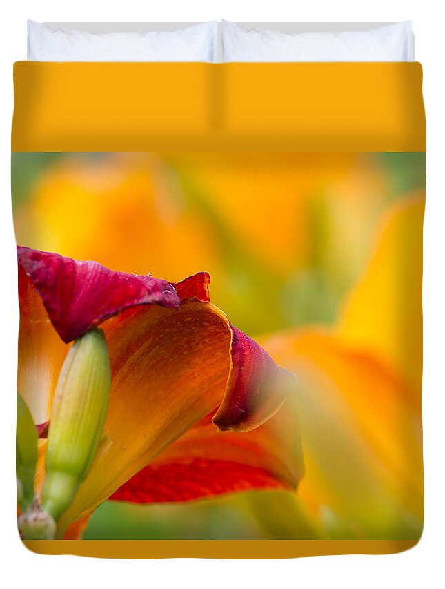 Daylily Duvet Cover featuring the photograph Fiery Flora by Mary Amerman