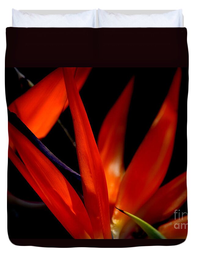 Bird Of Paradise Duvet Cover featuring the photograph Fiery Red Bird of Paradise by Susanne Van Hulst