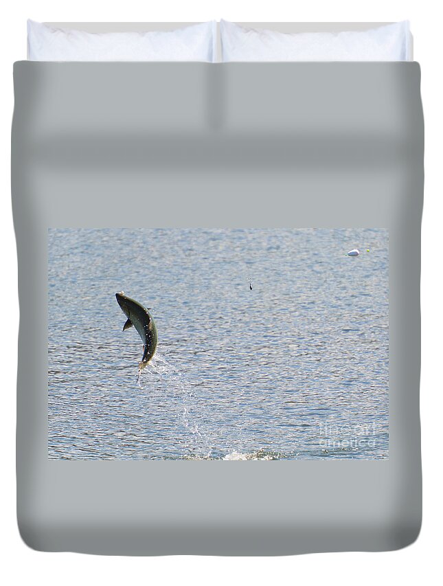 Chinook Salmon Duvet Cover featuring the photograph Fighting Chinook Salmon by Michael Dawson