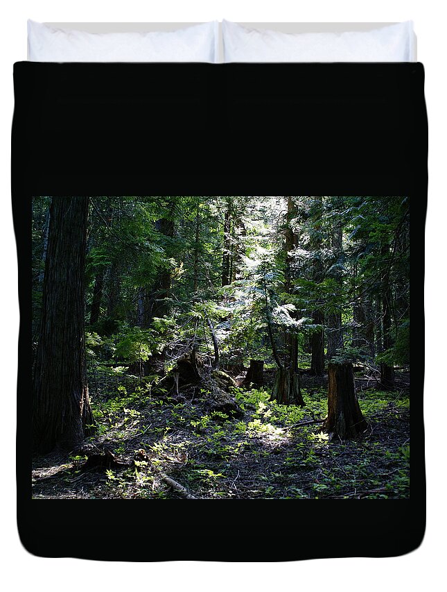 Nature Duvet Cover featuring the photograph Filtered Sunlight Peace by Ben Upham III