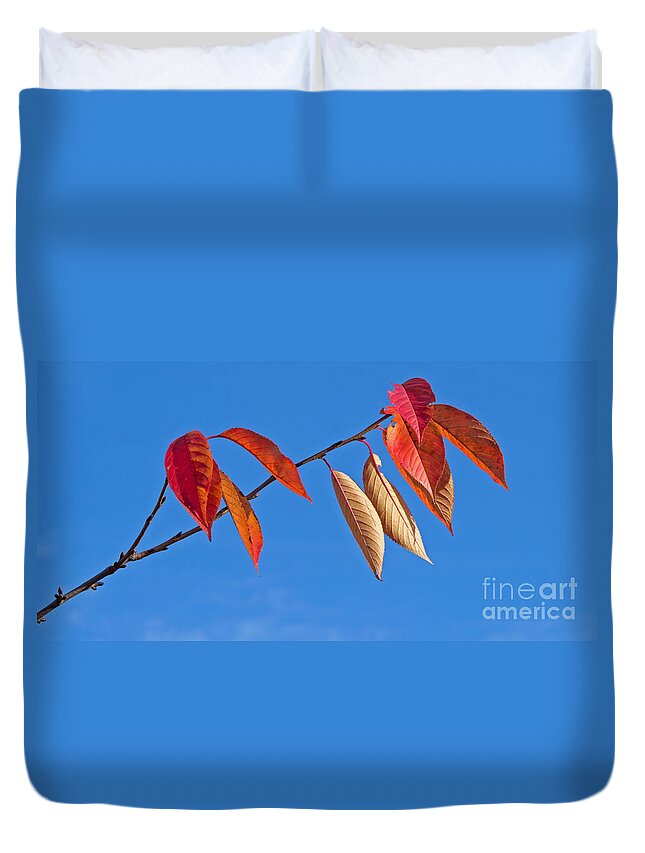 Autumn Duvet Cover featuring the photograph Final Fling by Ann Horn