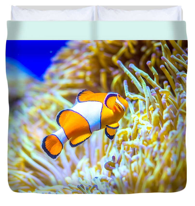 Finding Nemo Duvet Cover For Sale By Jijo George King