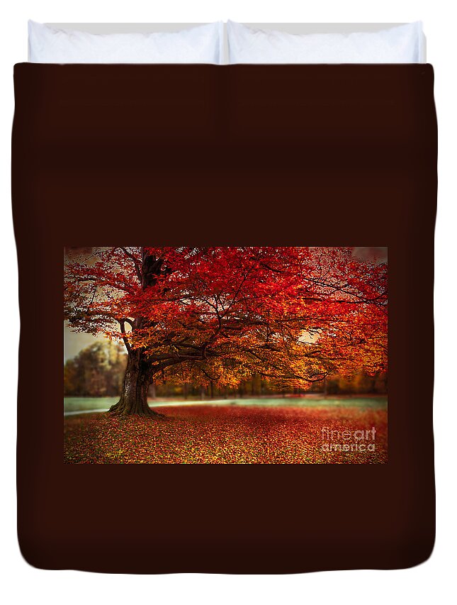 Autumn Duvet Cover featuring the photograph Finest Fall by Hannes Cmarits