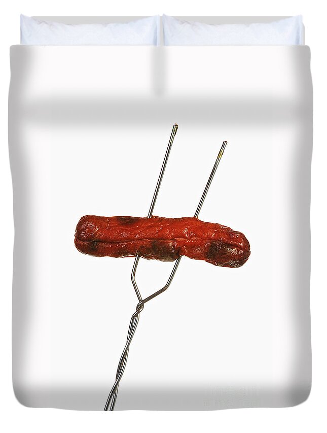 Americana Duvet Cover featuring the photograph Fire Roasted Hot Dog by James BO Insogna