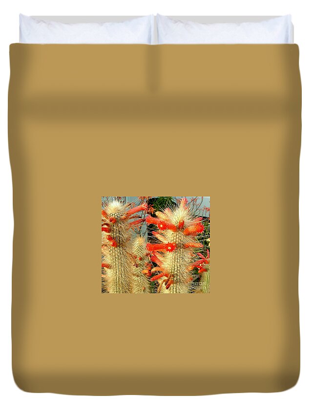 Scarlet Bugler Duvet Cover featuring the photograph Firecracker Cactus by Marilyn Smith